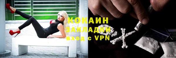 спайс Арсеньев