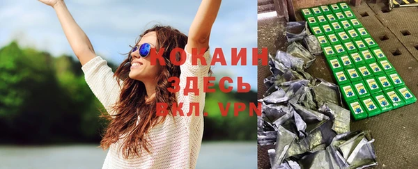 спайс Арсеньев