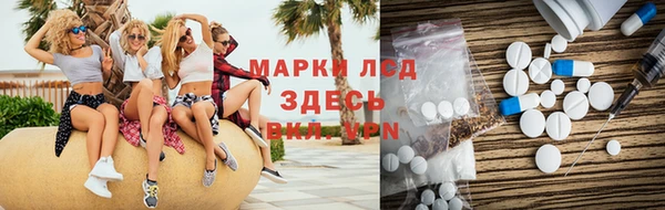 ешки Аркадак