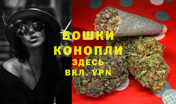 ешки Аркадак
