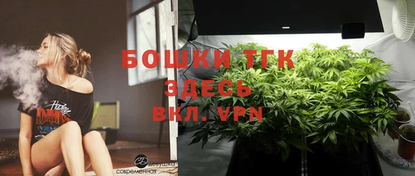 ешки Аркадак