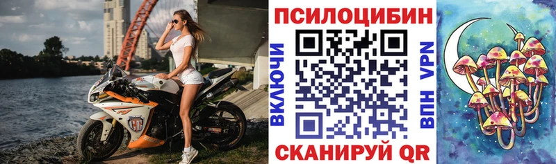 Псилоцибиновые грибы Psilocybe Октябрьск