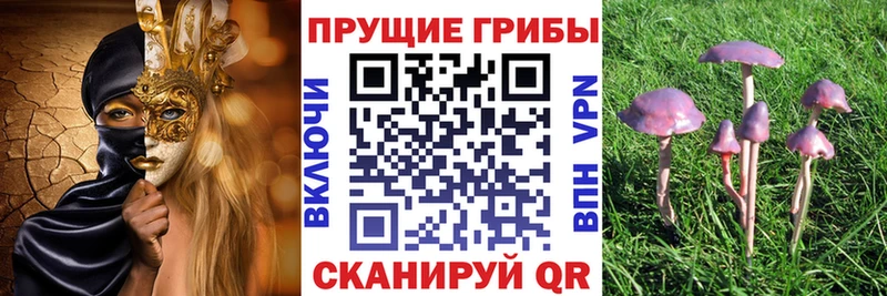 где продают   Октябрьск  Псилоцибиновые грибы Magic Shrooms 